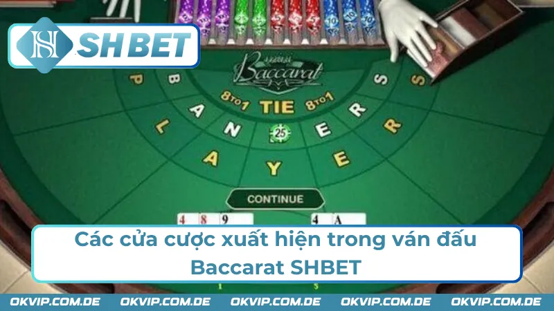 Những cửa cược thường gặp trong Baccarat